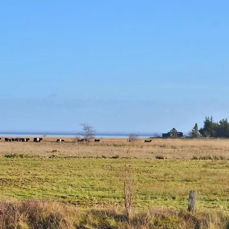 Clare - 4km From The Sea In Western Jutland By Interhome * Kongsmark